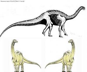 yapboz Zizhongosaurus, erken Jurassic dönem Çin'de yaşamış olan Bazal otçul sauropod dinozor dinozordur.